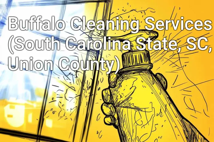 Buffalo Cleaning Services (South Carolina State, SC, Union County)
