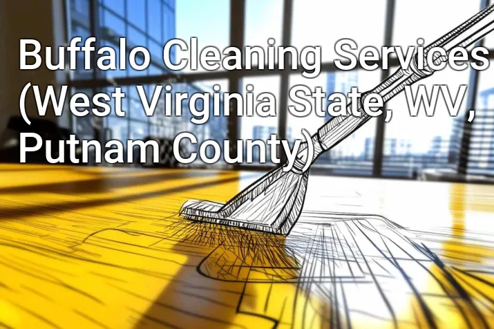 Buffalo Cleaning Services (West Virginia State, WV, Putnam County)