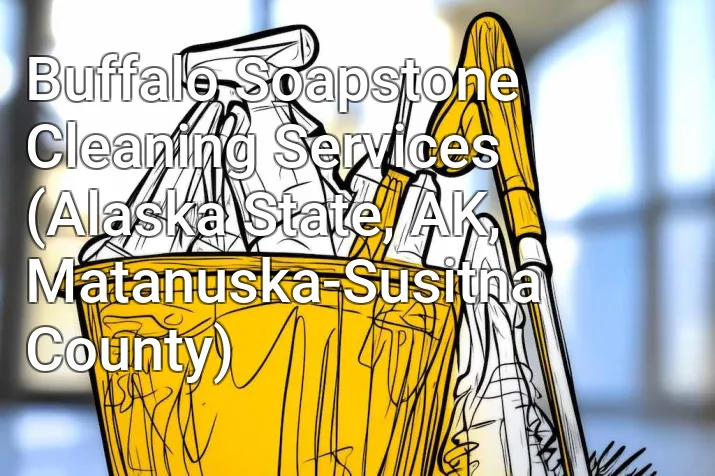 Buffalo Soapstone Cleaning Services (Alaska State, AK, Matanuska-Susitna County)
