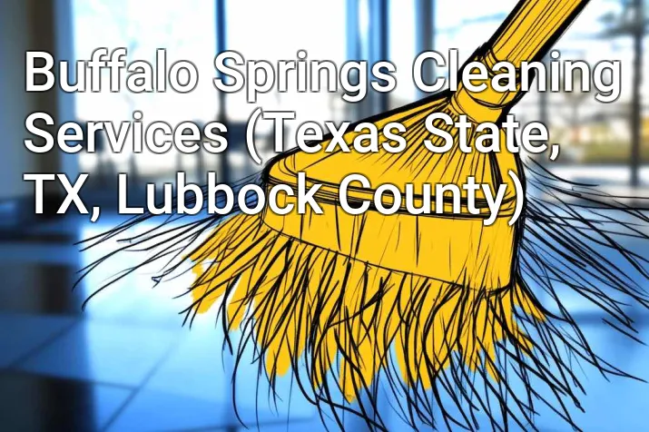 Buffalo Springs Cleaning Services (Texas State, TX, Lubbock County)