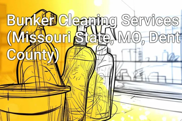 Bunker Cleaning Services (Missouri State, MO, Dent County)