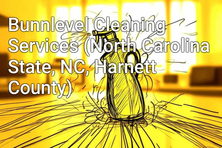 Bunnlevel Cleaning Services (North Carolina State, NC, Harnett County)