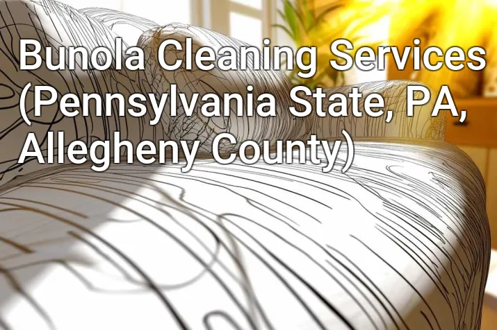 Bunola Cleaning Services (Pennsylvania State, PA, Allegheny County)