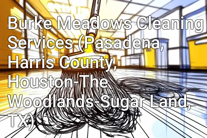 Burke Meadows Cleaning Services (Pasadena, Harris County, Houston-The Woodlands-Sugar Land, TX)