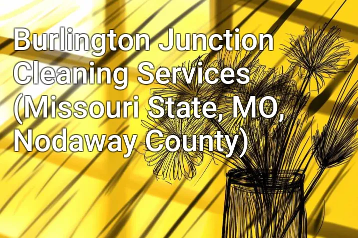 Burlington Junction Cleaning Services (Missouri State, MO, Nodaway County)