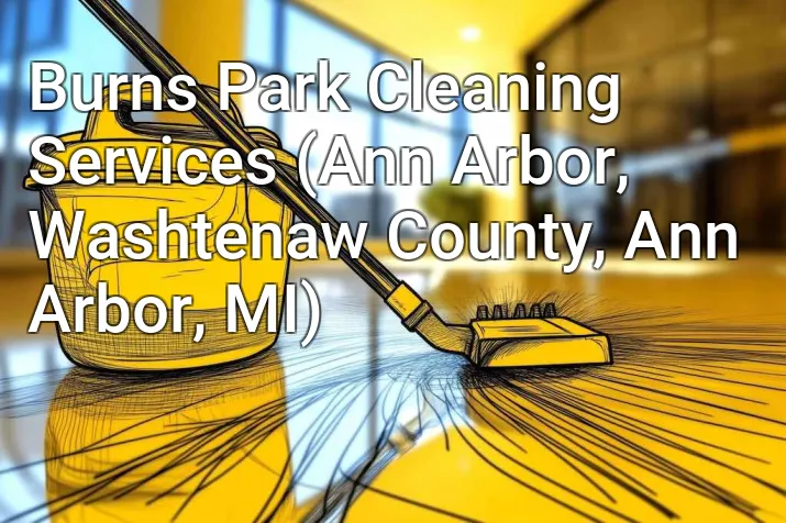 Burns Park Cleaning Services (Ann Arbor, Washtenaw County, Ann Arbor, MI)