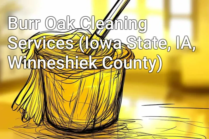 Burr Oak Cleaning Services (Iowa State, IA, Winneshiek County)