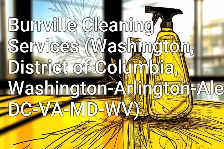 Burrville Cleaning Services (Washington, District of Columbia, Washington-Arlington-Alexandria, DC-VA-MD-WV)