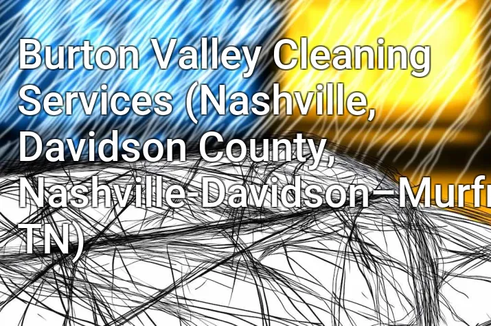 Burton Valley Cleaning Services (Nashville, Davidson County, Nashville-Davidson–Murfreesboro–Franklin, TN)