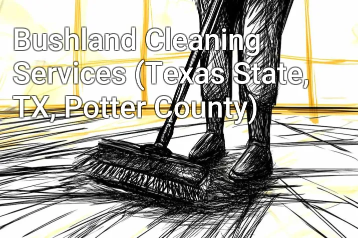 Bushland Cleaning Services (Texas State, TX, Potter County)