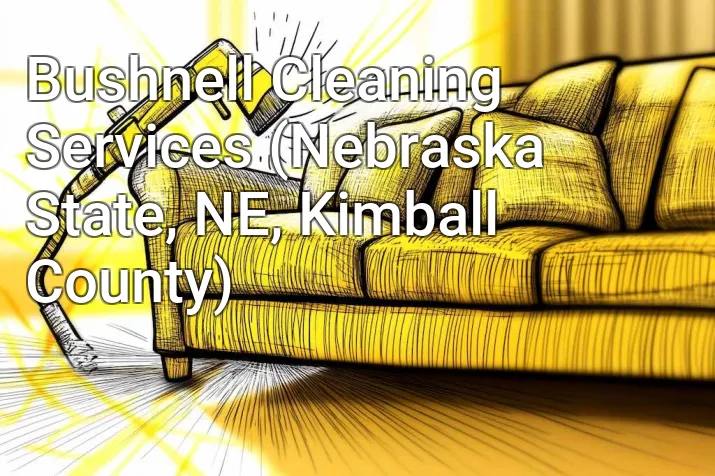 Bushnell Cleaning Services (Nebraska State, NE, Kimball County)