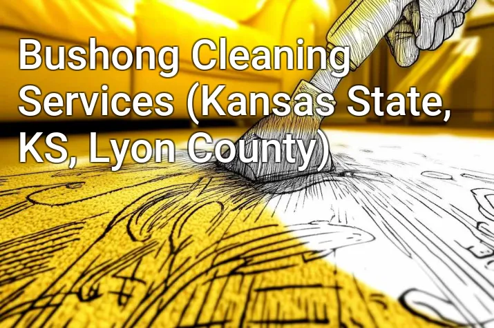 Bushong Cleaning Services (Kansas State, KS, Lyon County)