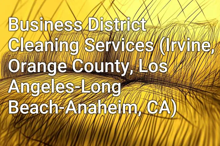 Business District Cleaning Services (Irvine, Orange County, Los Angeles-Long Beach-Anaheim, CA)