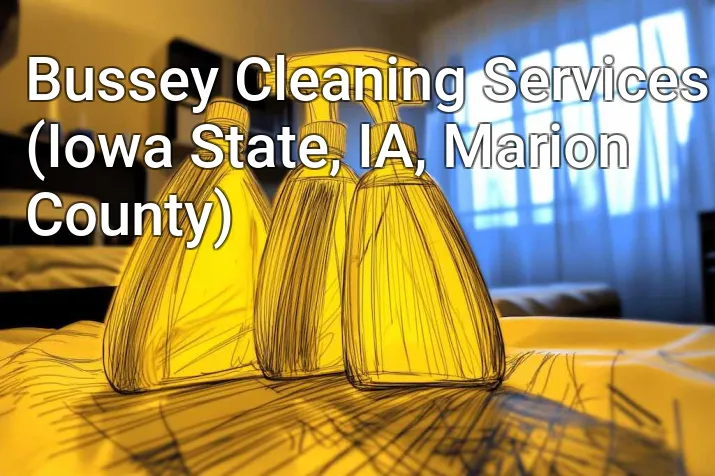 Bussey Cleaning Services (Iowa State, IA, Marion County)