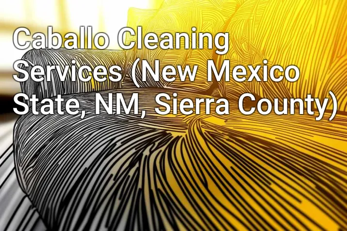 Caballo Cleaning Services (New Mexico State, NM, Sierra County)