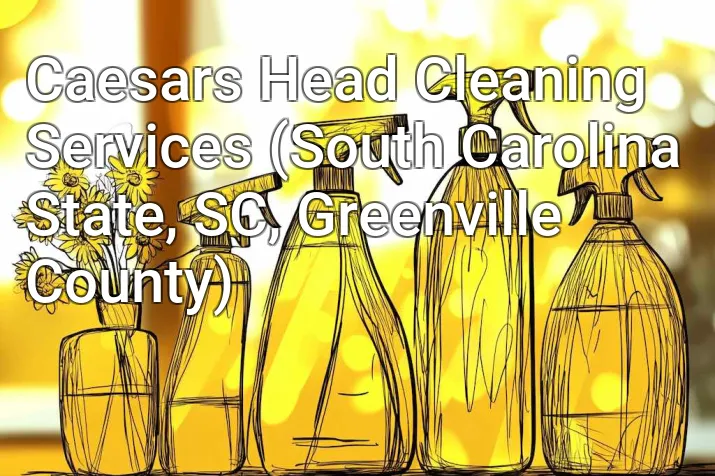 Caesars Head Cleaning Services (South Carolina State, SC, Greenville County)
