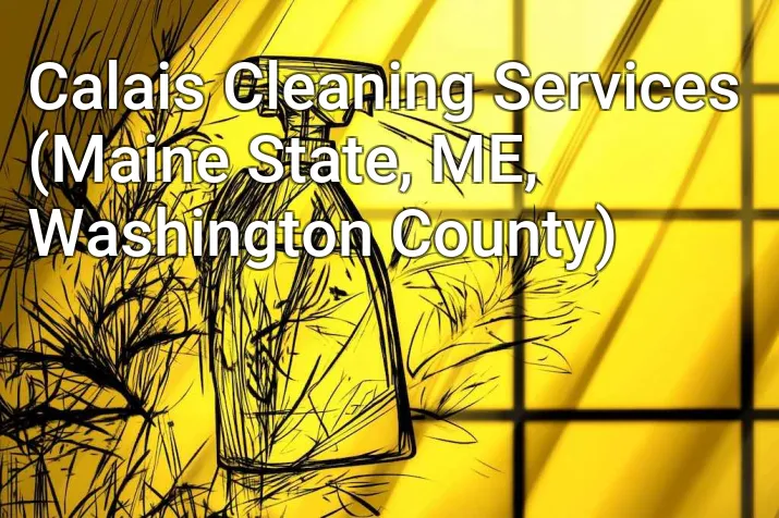 Calais Cleaning Services (Maine State, ME, Washington County)