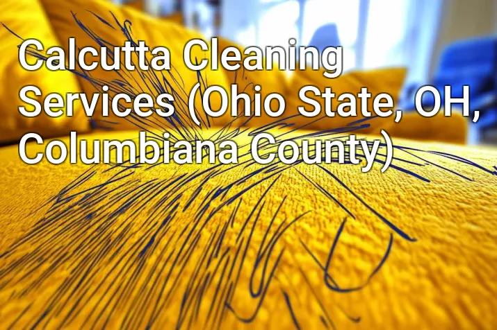 Calcutta Cleaning Services (Ohio State, OH, Columbiana County)