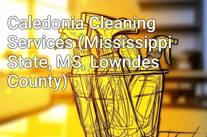Caledonia Cleaning Services (Mississippi State, MS, Lowndes County)