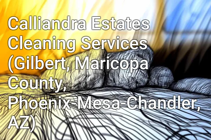 Calliandra Estates Cleaning Services (Gilbert, Maricopa County, Phoenix-Mesa-Chandler, AZ)