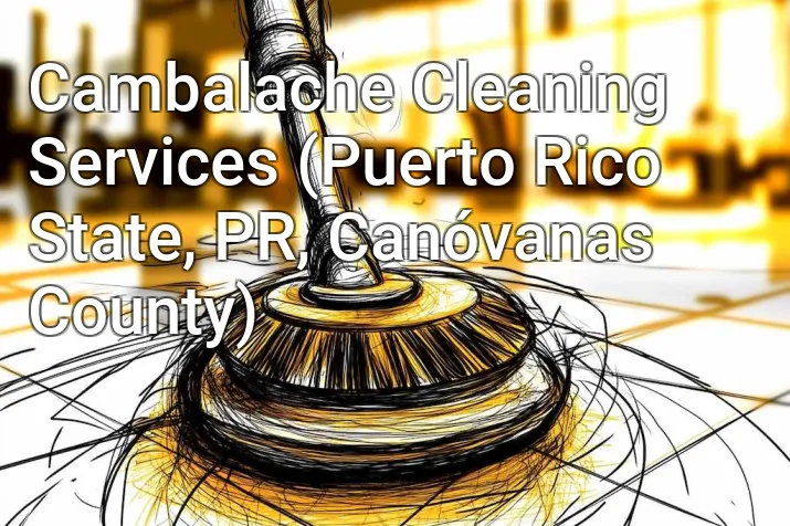 Cambalache Cleaning Services (Puerto Rico State, PR, Canóvanas County)