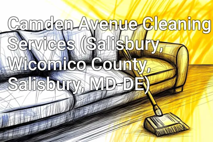 Camden Avenue Cleaning Services (Salisbury, Wicomico County, Salisbury, MD-DE)