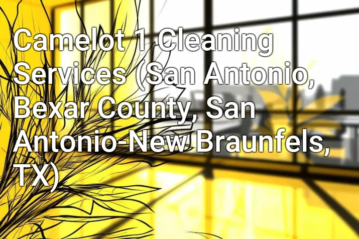 Camelot 1 Cleaning Services (San Antonio, Bexar County, San Antonio-New Braunfels, TX)