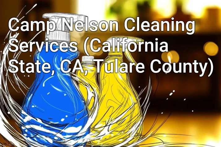 Camp Nelson Cleaning Services (California State, CA, Tulare County)