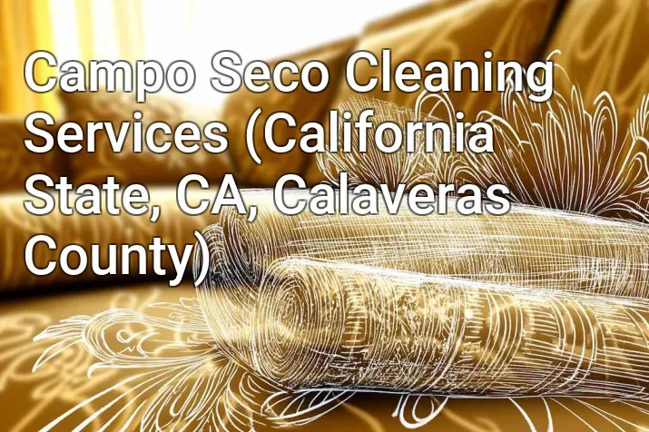 Campo Seco Cleaning Services (California State, CA, Calaveras County)