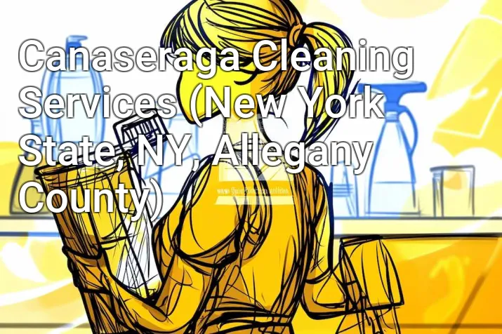 Canaseraga Cleaning Services (New York State, NY, Allegany County)