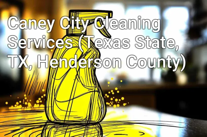 Caney City Cleaning Services (Texas State, TX, Henderson County)