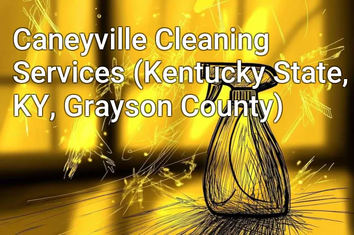 Caneyville Cleaning Services (Kentucky State, KY, Grayson County)