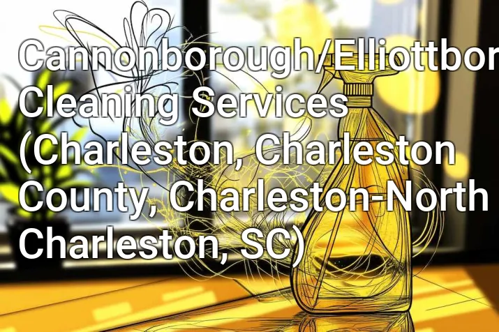 Cannonborough/Elliottbororugh Cleaning Services (Charleston, Charleston County, Charleston-North Charleston, SC)