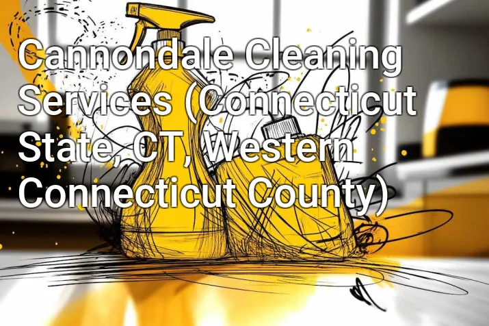 Cannondale Cleaning Services (Connecticut State, CT, Western Connecticut County)