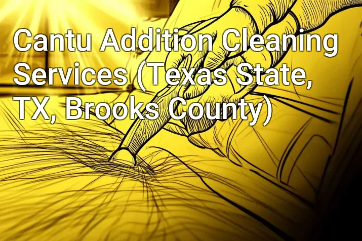 Cantu Addition Cleaning Services (Texas State, TX, Brooks County)
