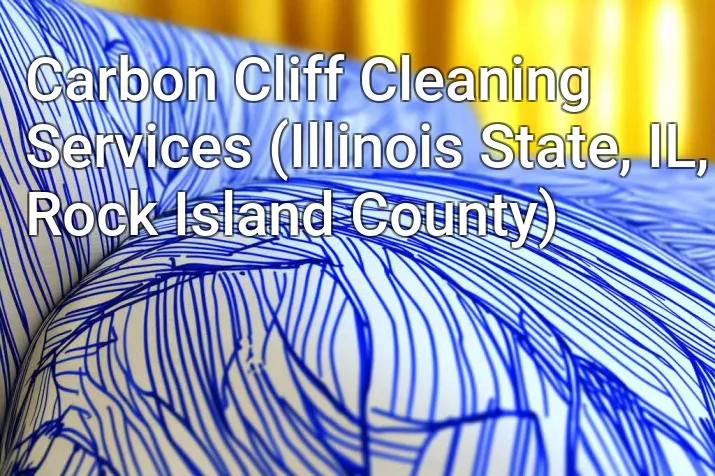 Carbon Cliff Cleaning Services (Illinois State, IL, Rock Island County)