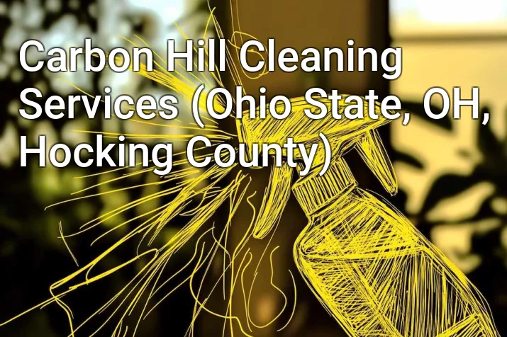 Carbon Hill Cleaning Services (Ohio State, OH, Hocking County)