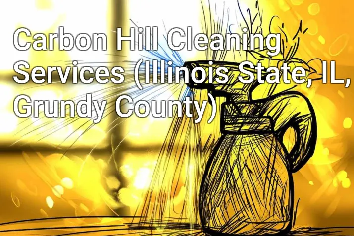 Carbon Hill Cleaning Services (Illinois State, IL, Grundy County)