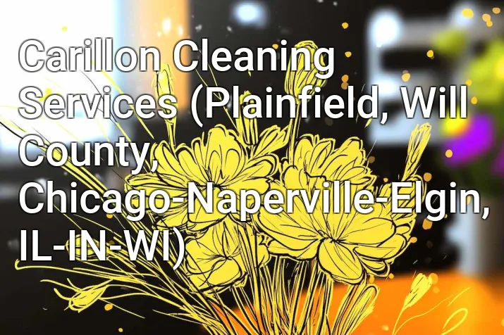 Carillon Cleaning Services (Plainfield, Will County, Chicago-Naperville-Elgin, IL-IN-WI)