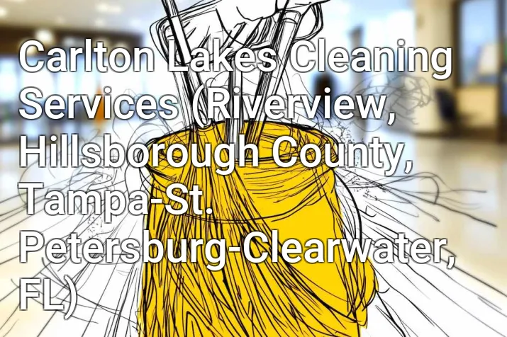 Carlton Lakes Cleaning Services (Riverview, Hillsborough County, Tampa-St. Petersburg-Clearwater, FL)