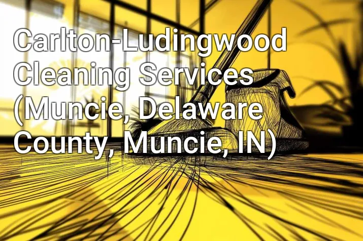 Carlton-Ludingwood Cleaning Services (Muncie, Delaware County, Muncie, IN)