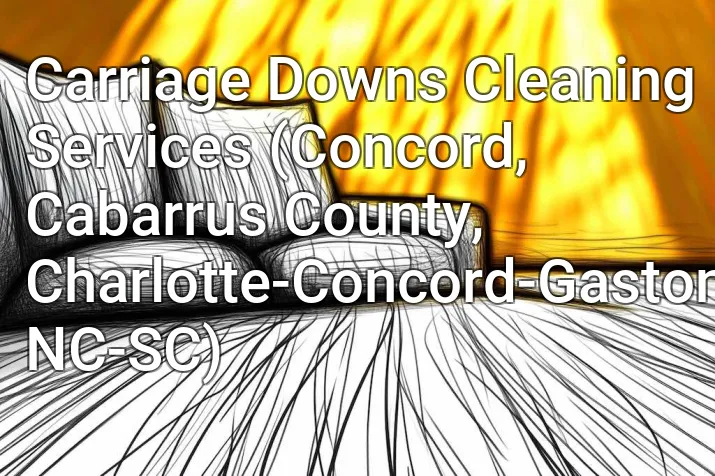 Carriage Downs Cleaning Services (Concord, Cabarrus County, Charlotte-Concord-Gastonia, NC-SC)