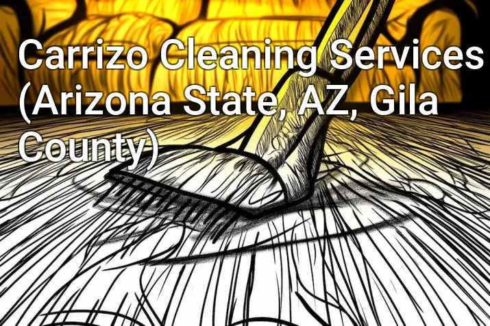 Carrizo Cleaning Services (Arizona State, AZ, Gila County)