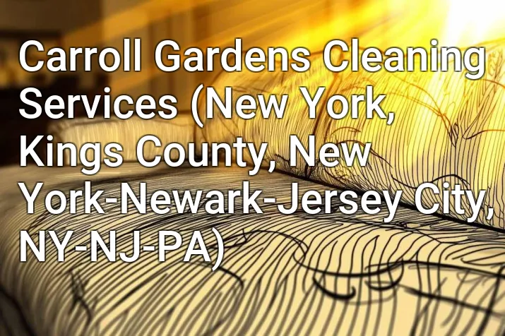 Carroll Gardens Cleaning Services (New York, Kings County, New York-Newark-Jersey City, NY-NJ-PA)