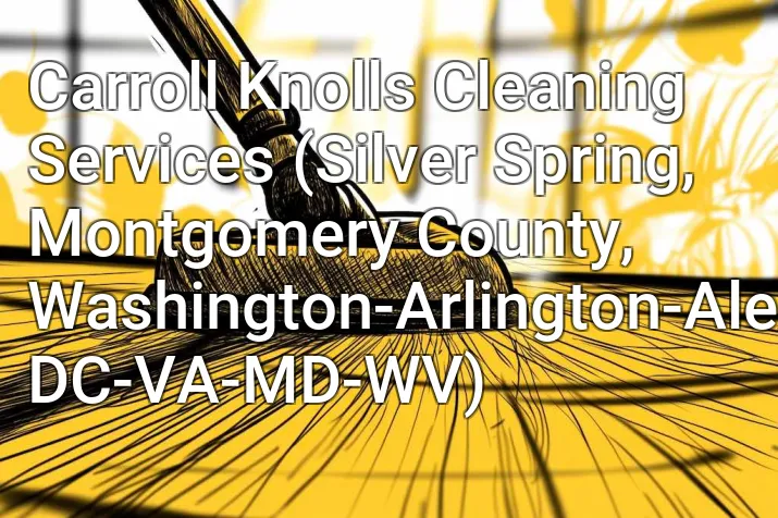 Carroll Knolls Cleaning Services (Silver Spring, Montgomery County, Washington-Arlington-Alexandria, DC-VA-MD-WV)