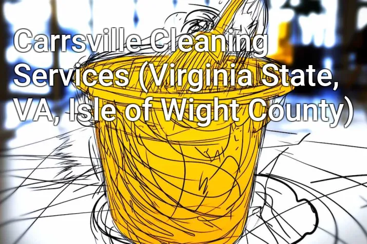 Carrsville Cleaning Services (Virginia State, VA, Isle of Wight County)