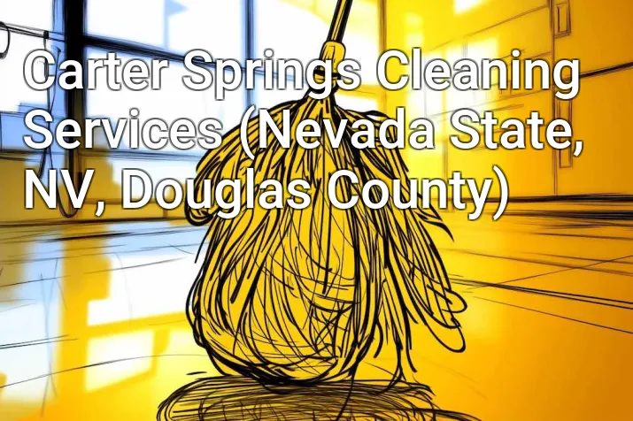 Carter Springs Cleaning Services (Nevada State, NV, Douglas County)