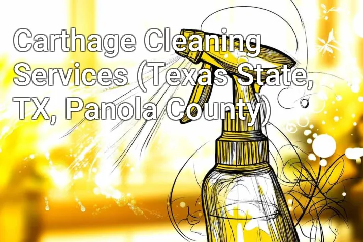 Carthage Cleaning Services (Texas State, TX, Panola County)