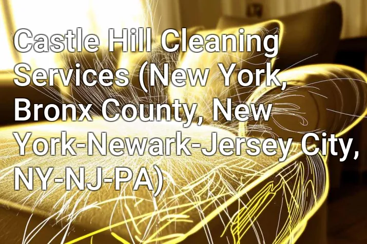 Castle Hill Cleaning Services (New York, Bronx County, New York-Newark-Jersey City, NY-NJ-PA)