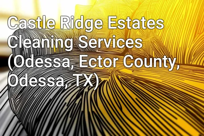Castle Ridge Estates Cleaning Services (Odessa, Ector County, Odessa, TX)